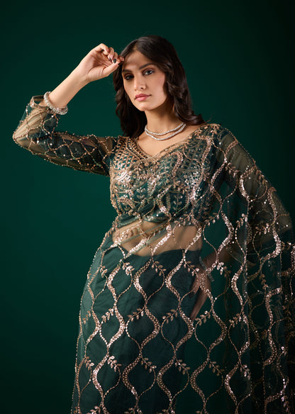 Green net saree with heavy cutdana work border by Kanyaari, showcasing intricate embroidery and elegant draping.