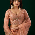 Styalish Net  Heavy Cutdana Embroidered Orange Saree (Rasha)