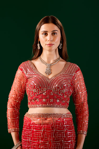 Red saree by Kanyaari featuring heavy cutdana embroidery and net fabric, with intricate embroidered patterns.