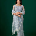 Tamannaah Sky Blue Net Saree With Cutdana work