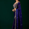 Full Heavy Blue Saree with Cutdana Work (Nora)